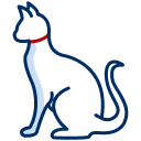 Gatto